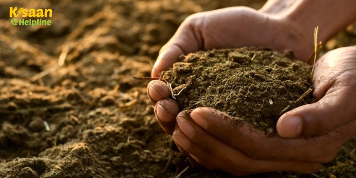मिट्टी में कार्बनिक पदार्थ को बढ़ावा देने के लिए गोमूत्र, गोबर का उपयोग करें: नीति आयोग की रिपोर्ट